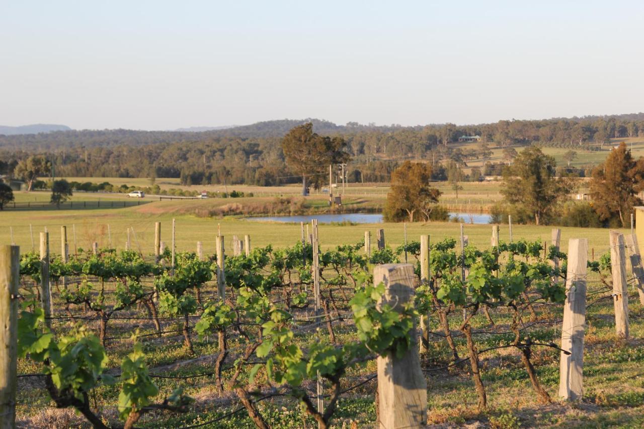 Blueberry Hill Vineyard Stay Rothbury Eksteriør billede