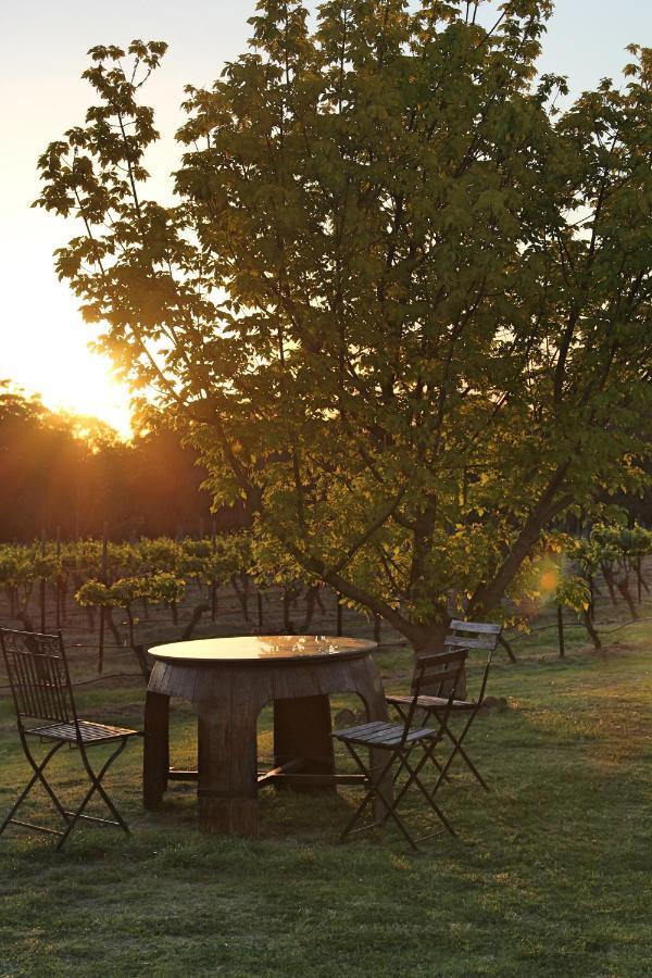 Blueberry Hill Vineyard Stay Rothbury Eksteriør billede