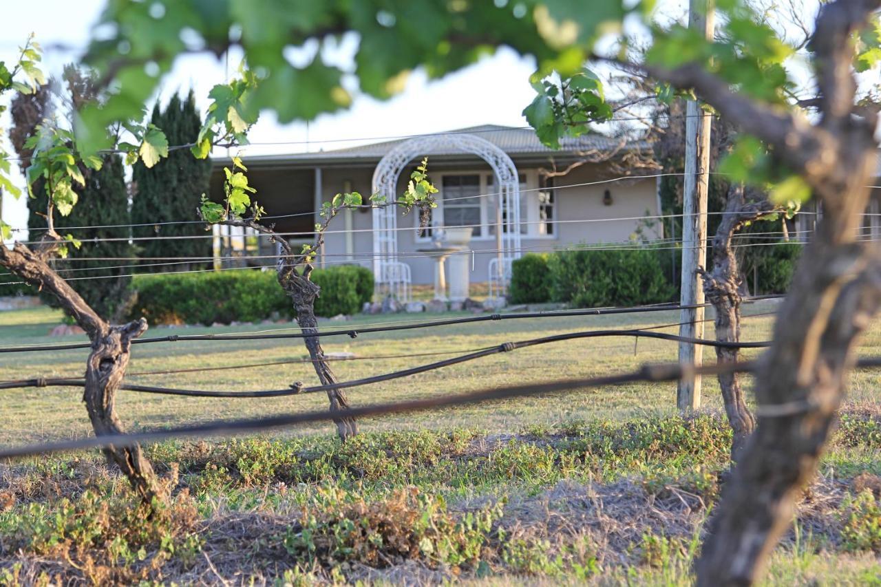Blueberry Hill Vineyard Stay Rothbury Eksteriør billede