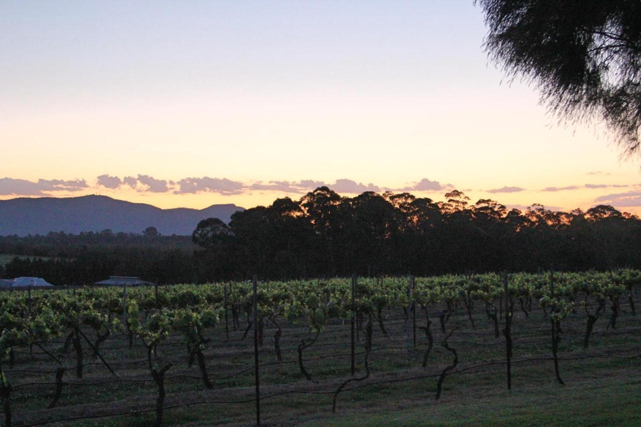 Blueberry Hill Vineyard Stay Rothbury Eksteriør billede